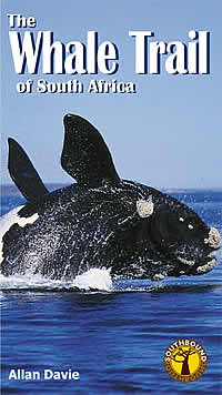 The Whale Trail of South Africa 